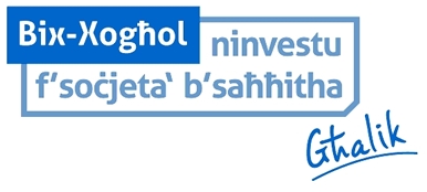 Budget Logo 2011